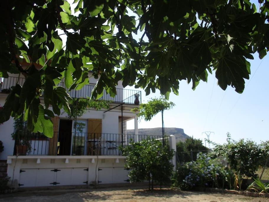 Willa Casa La Higuera Chulilla Zewnętrze zdjęcie