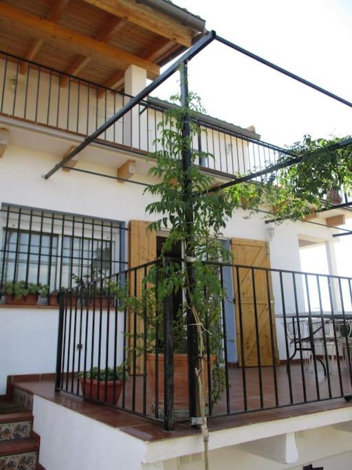 Willa Casa La Higuera Chulilla Zewnętrze zdjęcie